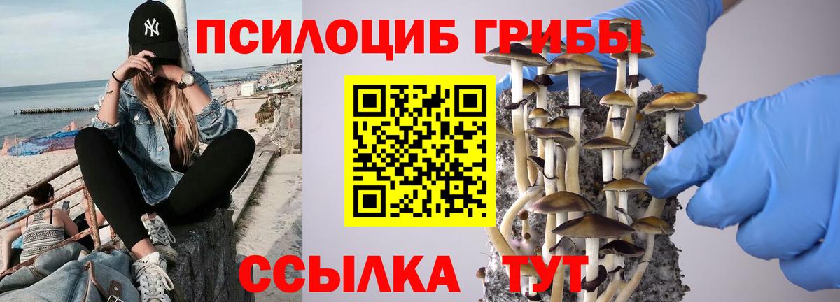 Псилоцибиновые грибы GOLDEN TEACHER  Псилоцибиновые грибы мухоморы  где продают   Краснокамск  Вход с VPN 